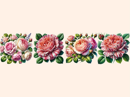 English Roses Clipart blooming roses png - Wonders Artist