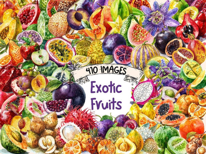 Exotic Fruits Watercolor Clipart exotic clipart - Wonders Artist