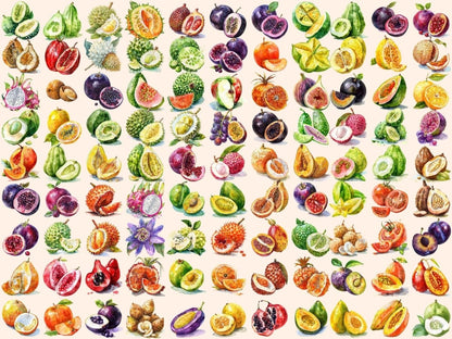 Exotic Fruits Watercolor Clipart exotic clipart - Wonders Artist