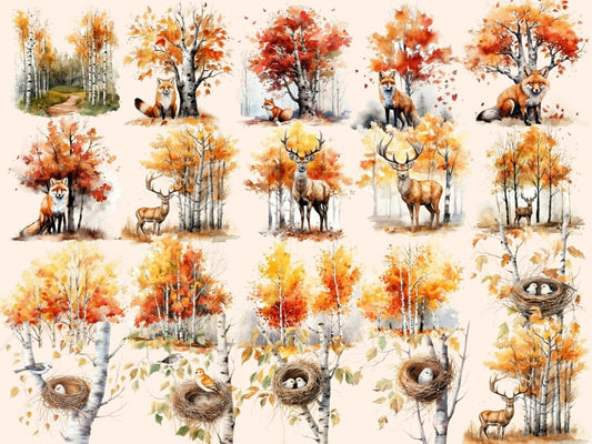 Fall Birch Trees Watercolor Clipart