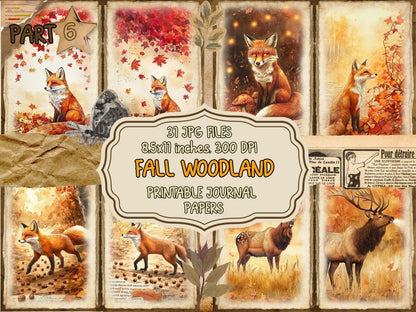 Fall Woodland Journal Pages (P6) Autumn Journal - Wonders Artist