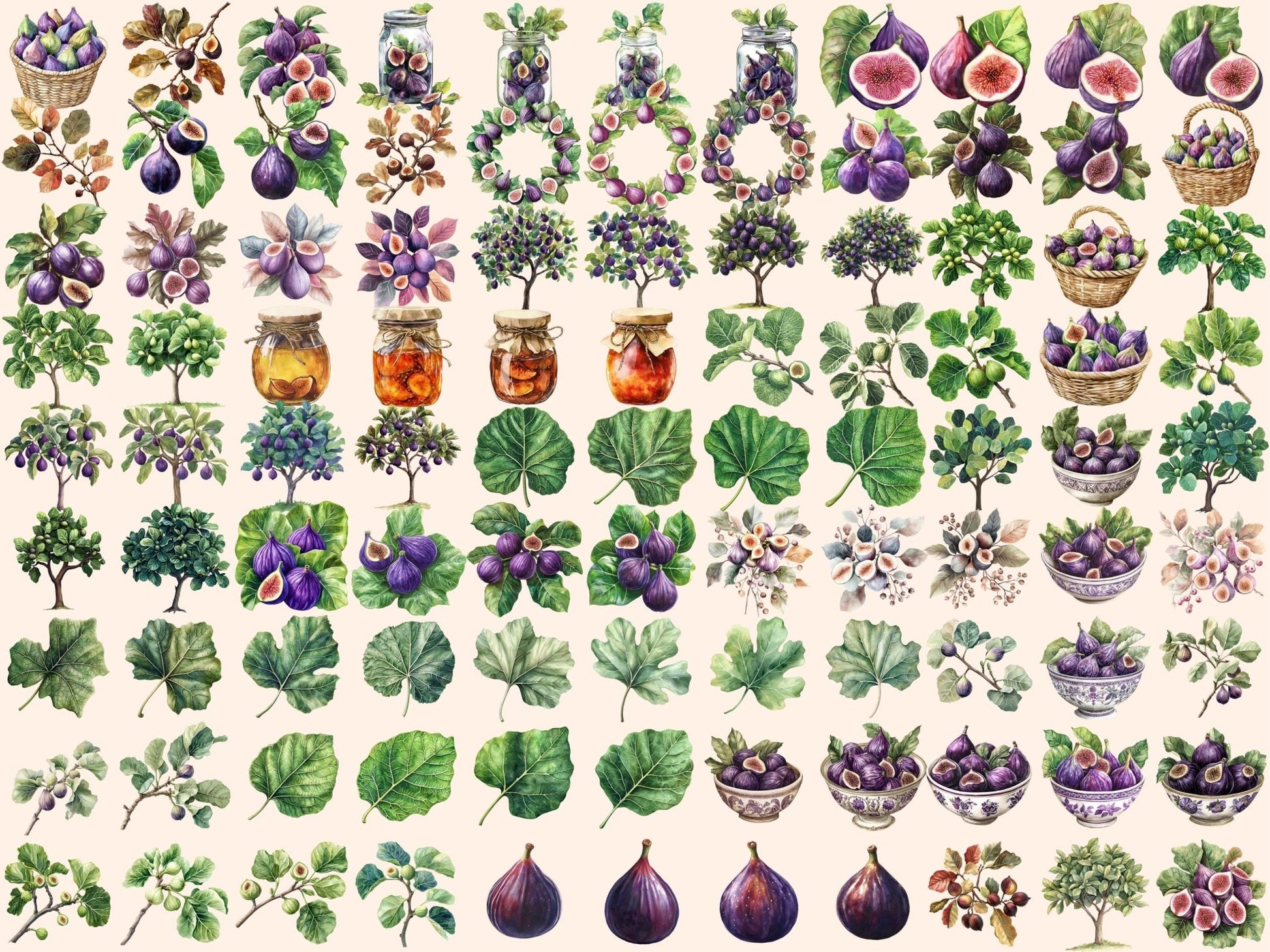 Figs Watercolor Clipart - High - Quality Instant Digital Download for Creative Projects