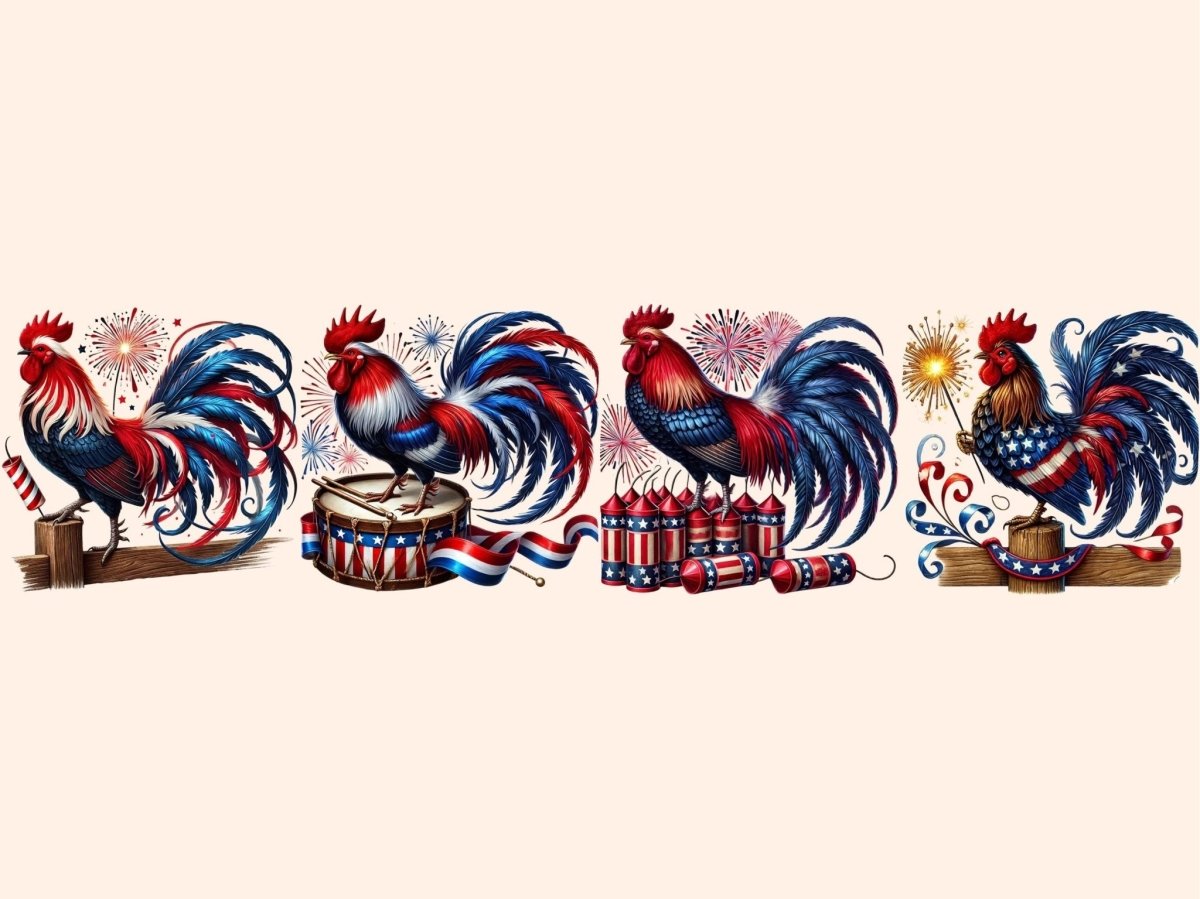 Firecracker Rooster Clipart 4th of july png - Wonders Artist