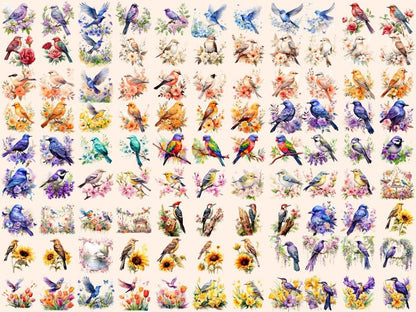 Floral Birds Watercolor Clipart bird clipart - Wonders Artist