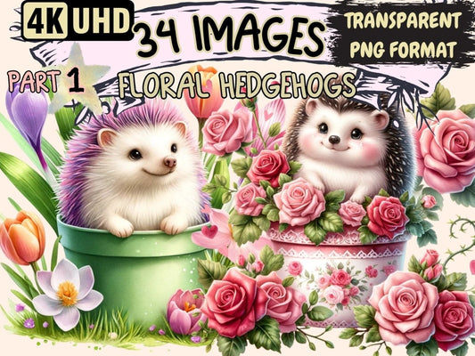 Floral Hedgehogs Clipart Cute hedgehog art - Wonders Artist