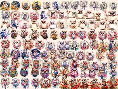 Floral Owls Watercolor Clipart floral owl clipart - Wonders Artist