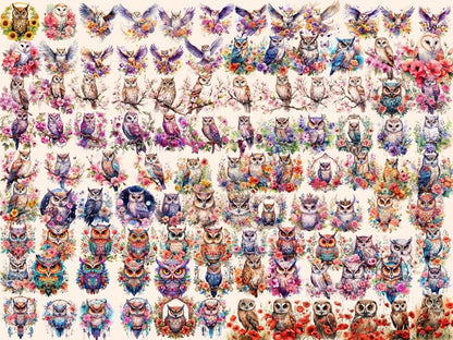 Floral Owls Watercolor Clipart floral owl clipart - Wonders Artist