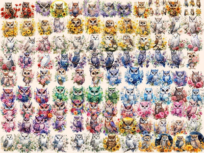 Floral Owls Watercolor Clipart floral owl clipart - Wonders Artist