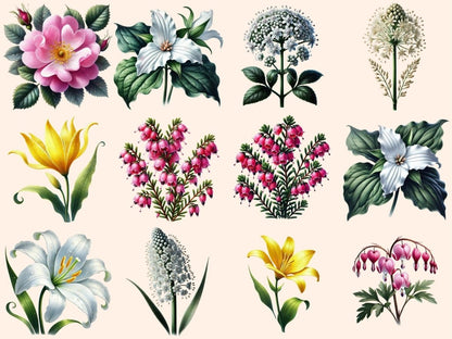 Flowers (P2) Clipart Bloom Clipart - Wonders Artist