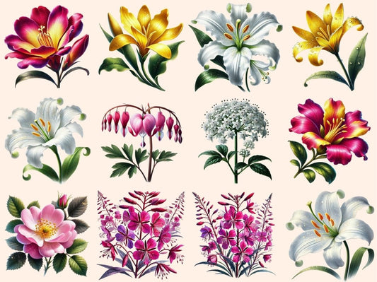 Flores (P2) Clipart