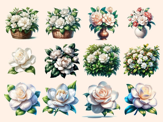 クチナシのクリップアート