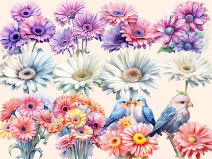 Gerberas Watercolor Clipart floral clipart - Wonders Artist