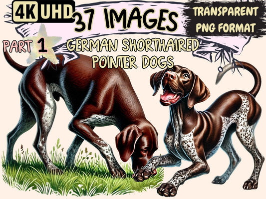 German Shorthaired Pointer Dogs Clipart - High - Quality Instant Digital Download for Creative Projects