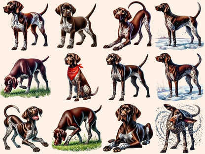 German Shorthaired Pointer Dogs Clipart dog breed clipart - Wonders Artist