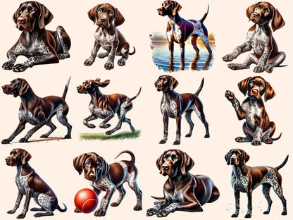 German Shorthaired Pointer Dogs Clipart - High - Quality Instant Digital Download for Creative Projects