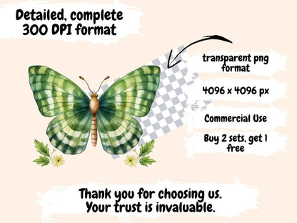 Gingham Butterflies Watercolor Clipart butterflies clipart - Wonders Artist