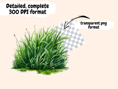 Grass Watercolor Clipart floral clipart - Wonders Artist