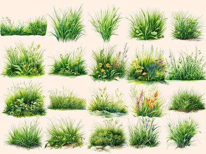 Grass Watercolor Clipart floral clipart - Wonders Artist