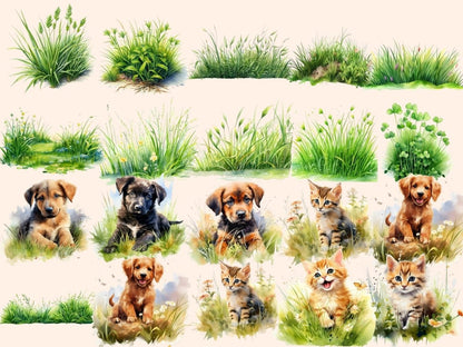 Grass Watercolor Clipart floral clipart - Wonders Artist