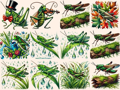 Grasshoppers Clipart Bug Art PNG - Wonders Artist