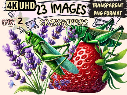 Grasshoppers (P2) Clipart Bug Art PNG - Wonders Artist