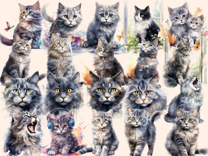 Gray Cats Watercolor Clipart cat clipart - Wonders Artist