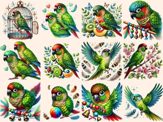 Klipart zelenokřídlých konur