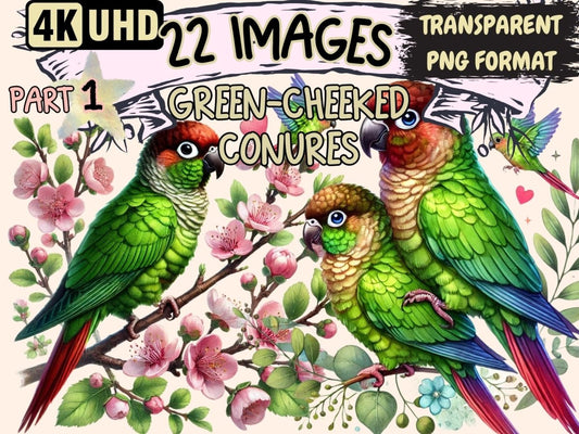 Green - Cheeked Conures Clipart conure clipart - Wonders Artist