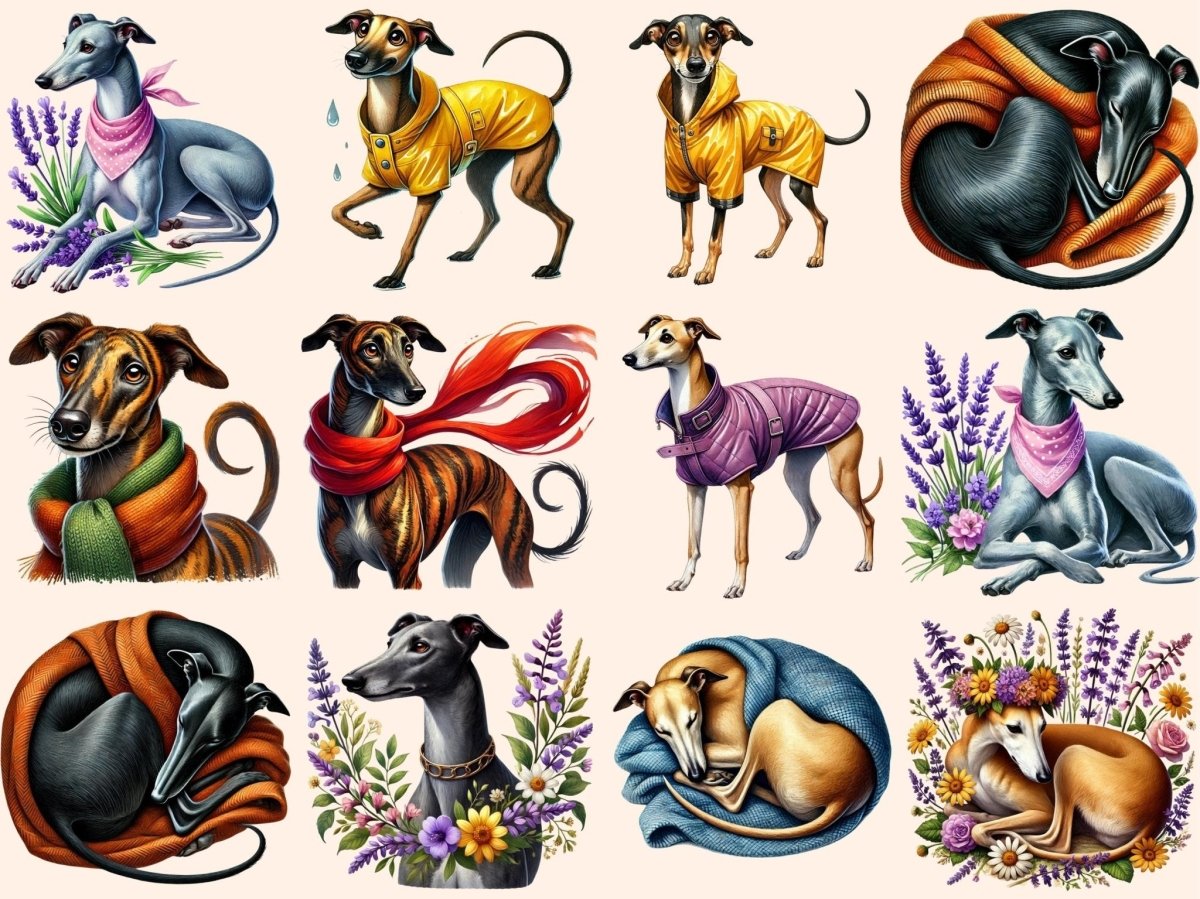 Greyhounds Clipart digital dog art - Wonders Artist