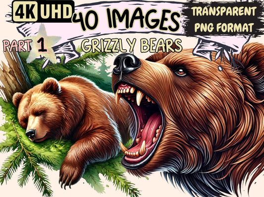 Grizzly Bears Clipart - High - Quality Instant Digital Download for Creative Projects