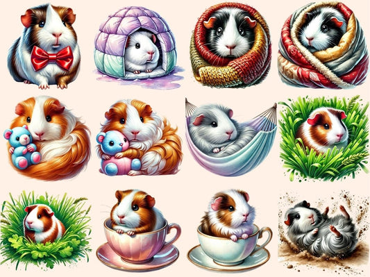 Krysí morčata (P4) Clipart