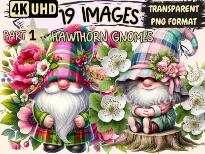 Hawthorn Gnomes Clipart Cute gnome art - Wonders Artist