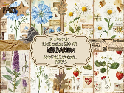 Herbarium Journal Pages (P1) Botanical Ephemera - Wonders Artist