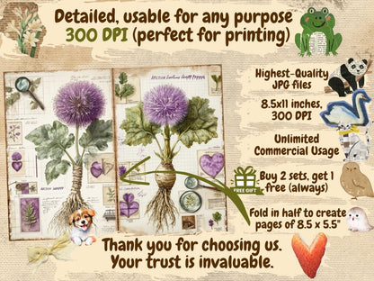 Herbarium Journal Pages (P1) Botanical Ephemera - Wonders Artist