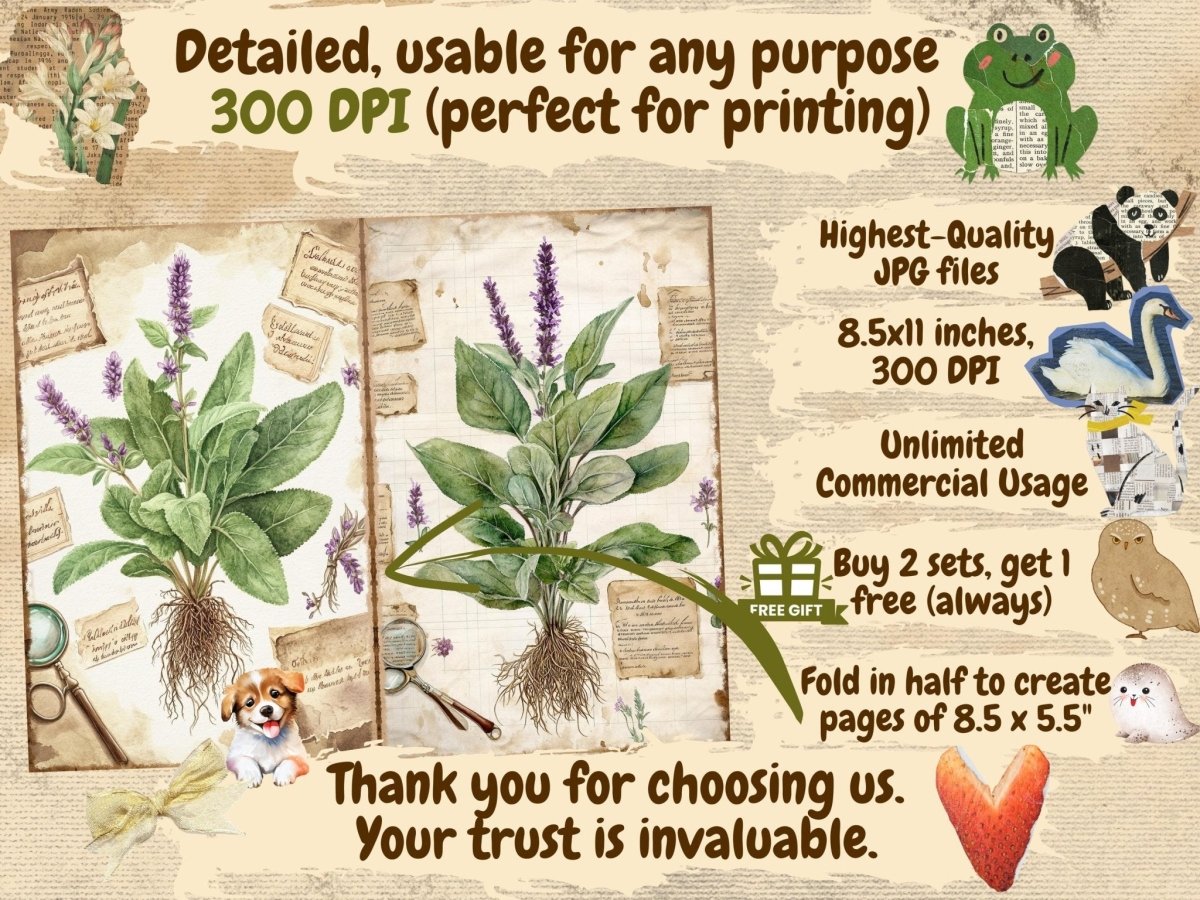 Herbarium Journal Pages (P2) Botanical Ephemera - Wonders Artist