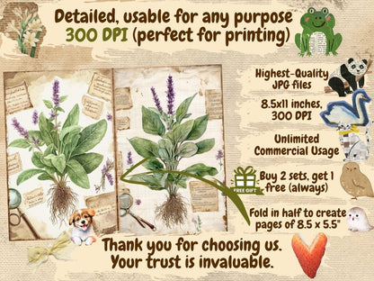 Herbarium Journal Pages (P2) Botanical Ephemera - Wonders Artist