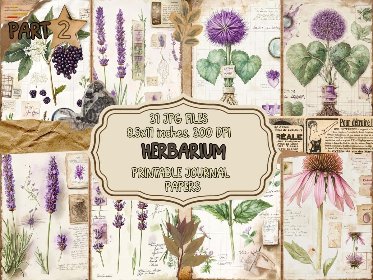 Herbarium Journal Pages (P2) Botanical Ephemera - Wonders Artist