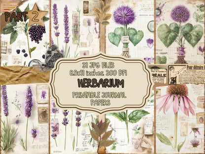 Herbarium Journal Pages (P2) Botanical Ephemera - Wonders Artist