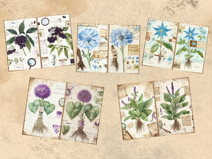 Herbarium Journal Pages (P2) Botanical Ephemera - Wonders Artist