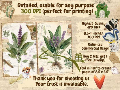 Herbarium Journal Pages (P3) Botanical Ephemera - Wonders Artist