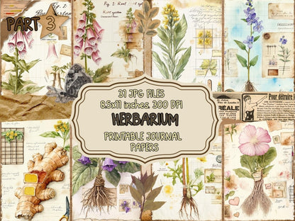 Herbarium Journal Pages (P3) Botanical Ephemera - Wonders Artist