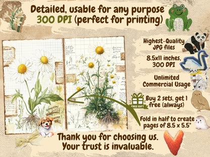 Herbarium (P4) Botanical Ephemera - Wonders Artist