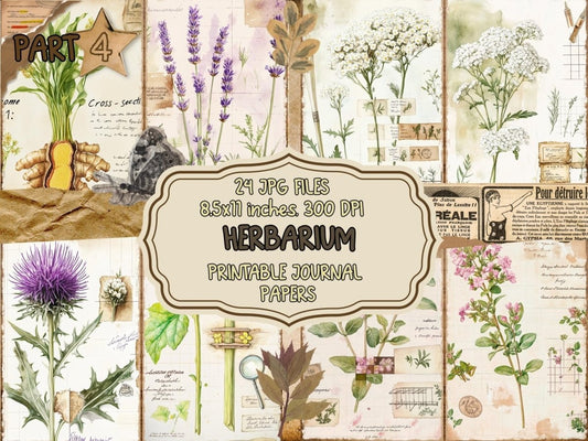Herbarium (P4) Botanical Ephemera - Wonders Artist