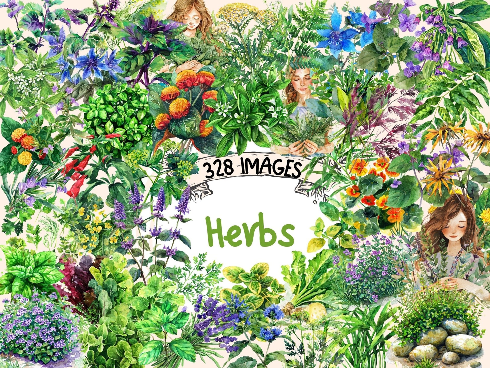 Herbs Watercolor Clipart - High - Quality Instant Digital Download for Creative Projects