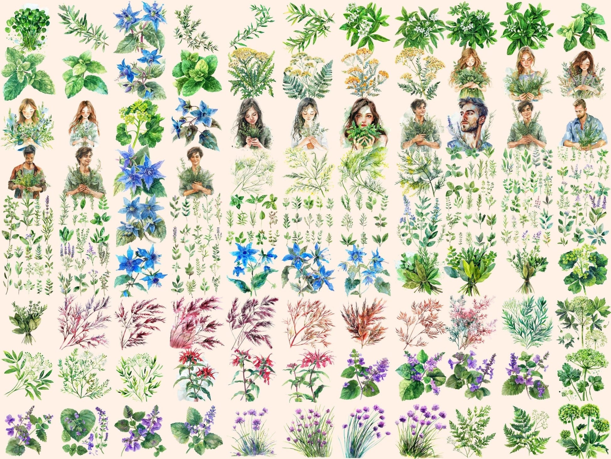 Herbs Watercolor Clipart - High - Quality Instant Digital Download for Creative Projects