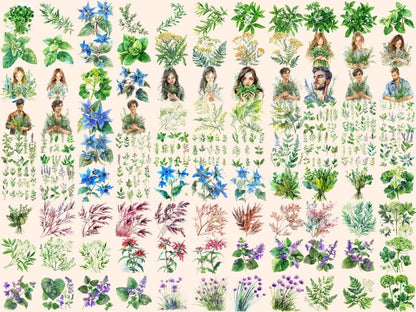 Herbs Watercolor Clipart cute herb pics - Wonders Artist