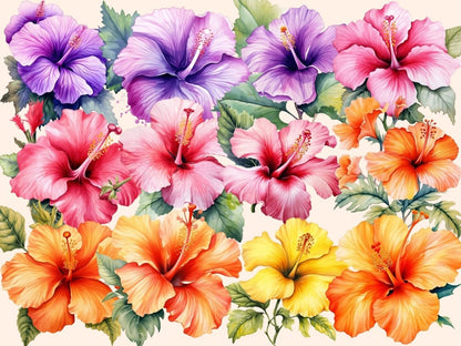 Hibiscus Watercolor Clipart exotic flowers png - Wonders Artist