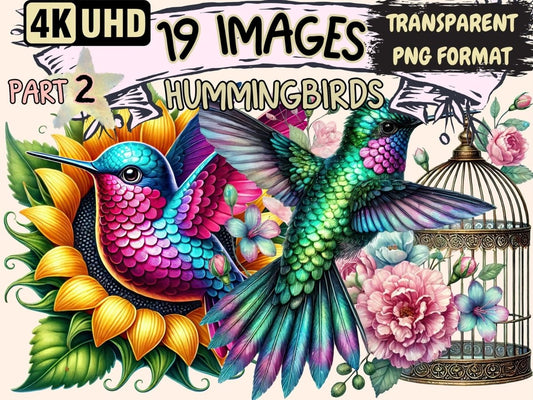 Hummingbirds (P2) Clipart bird decor - Wonders Artist