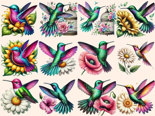 Kolibříci (P2) Clipart