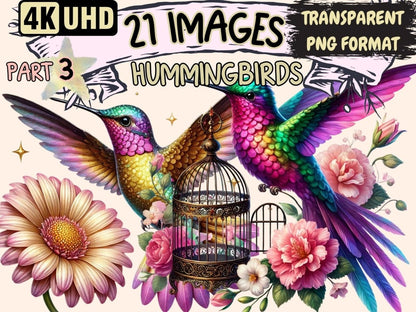 Hummingbirds (P3) Clipart bird decor - Wonders Artist